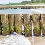 Schmidt - Strandhaus Direkt Am Mit Sauna, Sport Und Dünengarten Ii Rostock